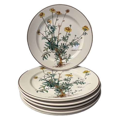 Villeroy boch botanica - &,