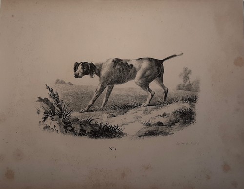 Chien arrêt lithographie de - d'arrêt,