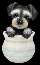 Mini Schnauzer Figurine Chien