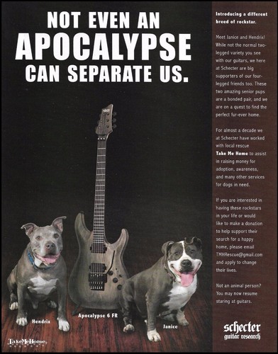 Schecter apocalypse fr - schecter, 6