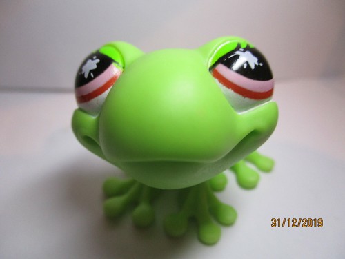 Petshop grenouille 898 - petshop, n°898