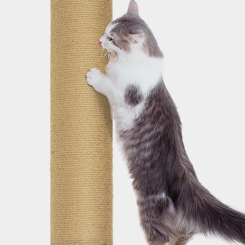 Poteau griffoir chat arbre - chat, d'arbre