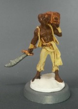 Reaper Bones Hajad, Pirate