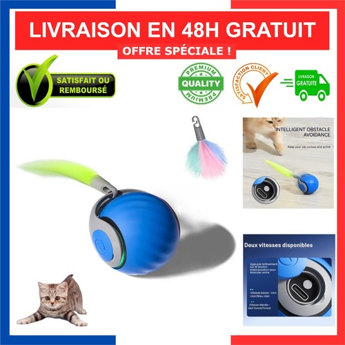 Balle interactive chat chien