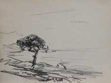 Georges Ricard-Cordingley (1873-1939) (192) - fusain - pin au bord de l'eau