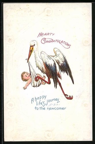 Carte postale artiste storch - postale,