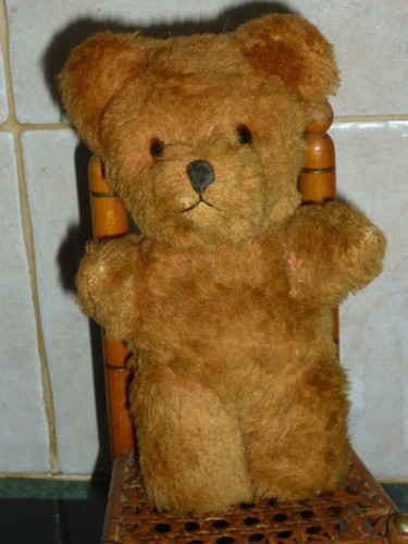 Ancien petit ours nounours - ours,