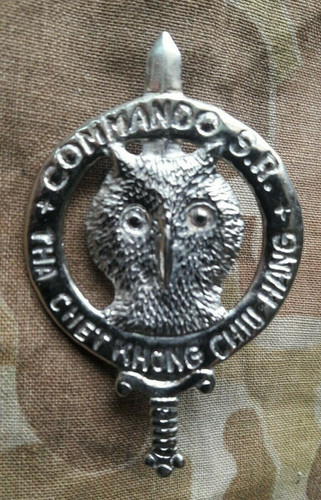 Insigne commando - insigne,