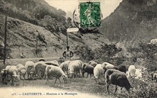 CPA 65 PYRENEES CAUTERETS