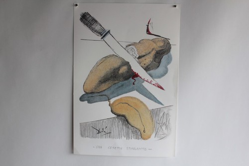 Salvador dali lithographie - dali,