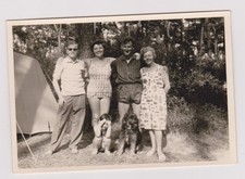 photo ancienne ?️ famille forêt vacances vers 1950 chien tente