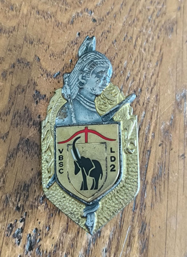 Insigne obsolète garde - insigne,