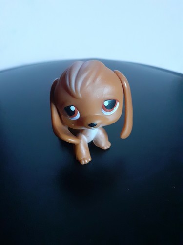 Snoopette2008 chien beagle - snoopette2008,