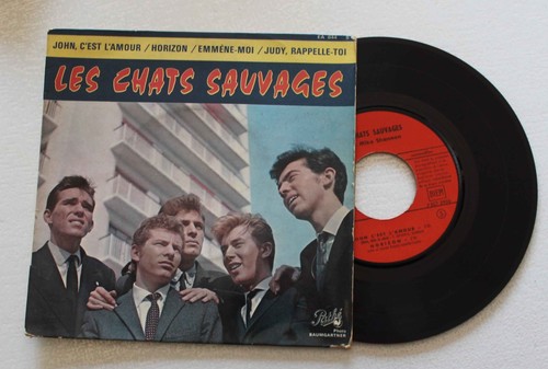 Les chats sauvages - chats,