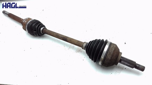 Arbre droite 8200452273 - arbre,