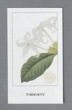 Carte  publicitaire -