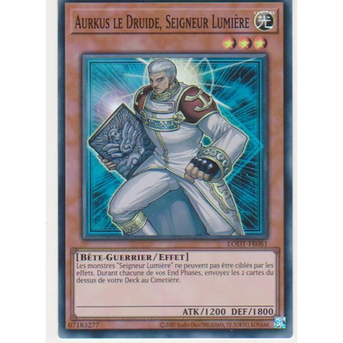 Aurkus druide seigneur - aurkus, druide,
