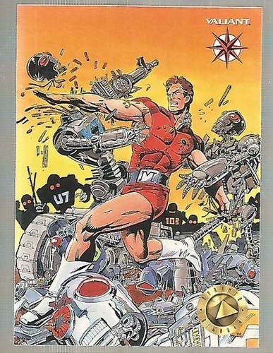 B6894 1993 cartes collection - 1993,