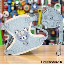 Harnais Gilet Réglable Anti-Traction pour Lapin Chaton Petit Chien Cochon d'Inde