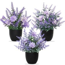 Fausse Plantes Plantes