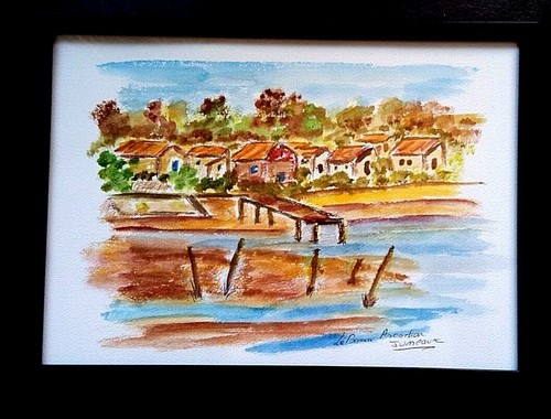 Bassin arcachon - d,