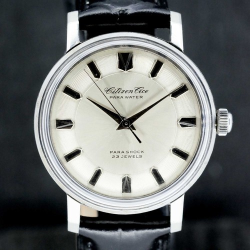Citizen ace parawater hand - citizen,