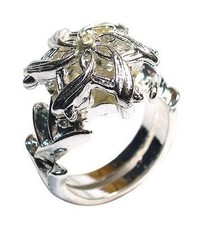 Le Seigneur des Anneaux -