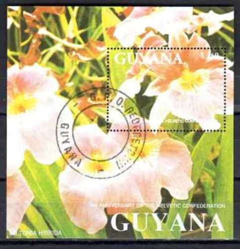 Fleurs orchidées guyana - -,