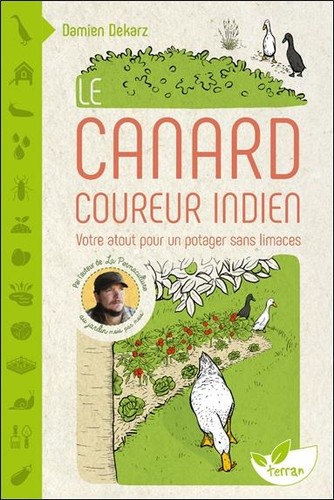 Canard coureur indien - coureur,