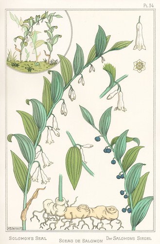 Eugene grasset 34 - grasset, pl.