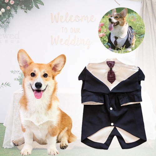 Costume smoking pour chien - smoking,