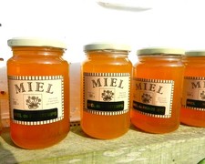 Miel de printemps les abeilles