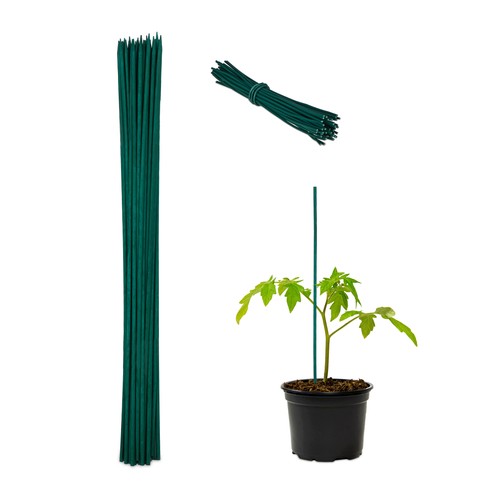100 tuteurs pour plantes 60 - 100, plantes,