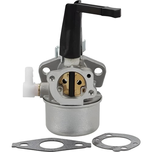 Carburateur pour moteur briggs - carburateur,