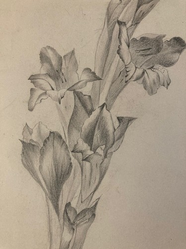 Beau dessin 1900 - 1900, fleur