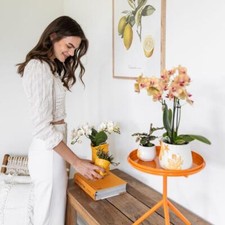 Décoratif Kolibri Home Bac