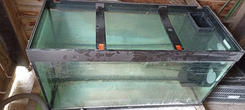 aquariums