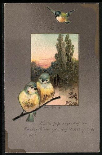 Couple oiseaux sur - couple, une