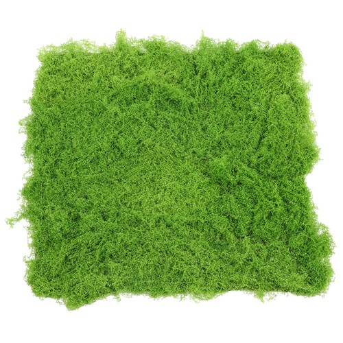 Tapis mousse vegetale - tapis, de