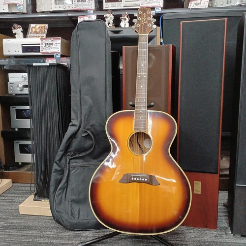 Takamine palathetic electric - takamine,