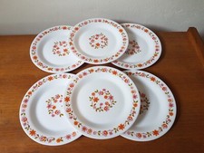 6 Assiettes Dessert Arcopal