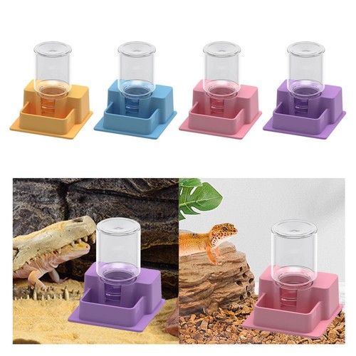 Mangeoire pour reptiles