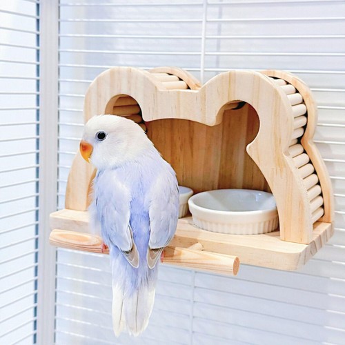 Mangeoires pour oiseaux bols - pour, oiseaux,