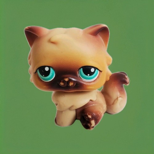 Lps chat persan - persan, –