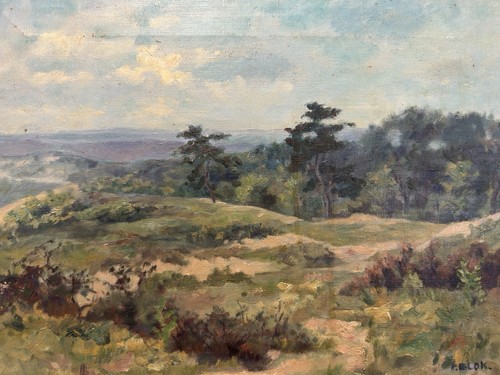 Paysage lande aux - lande, pins