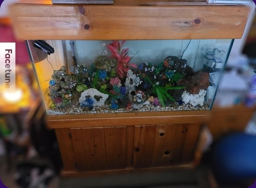 Gallon aquarium with - 90,