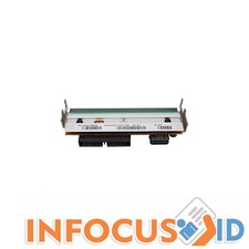 Tout Neuf Véritable Zebra