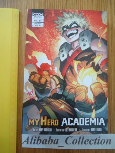 Manga hero academia - hero,
