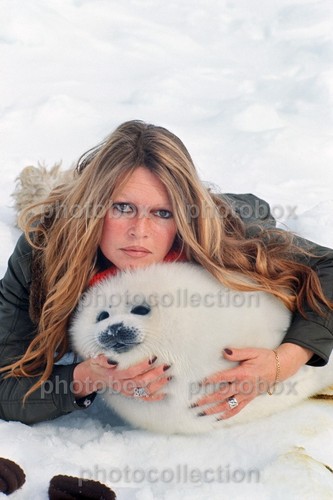 Brigitte bardot exclusive - *,