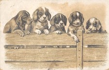 CPA FANTAISIE REPRESENTANT 5